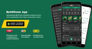 Explore the Exciting Features of BetWinner Online Gambling Platform